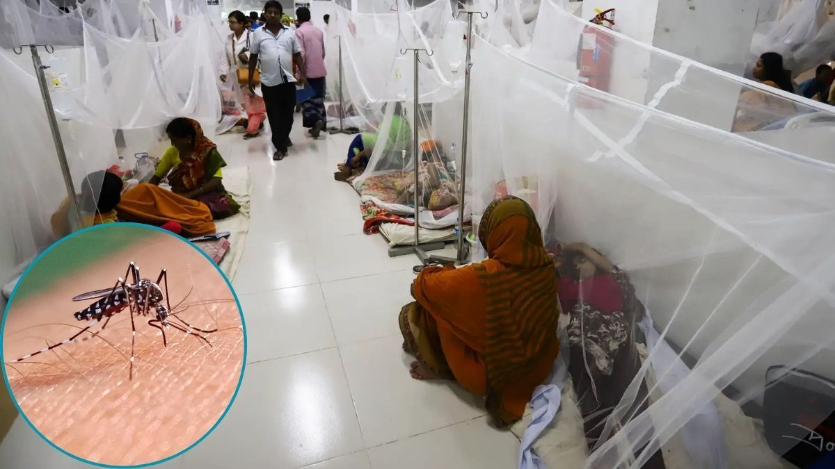 ২৪ ঘণ্টায় ডেঙ্গুতে মৃত্যু এক, আক্রান্ত ৩৮৩